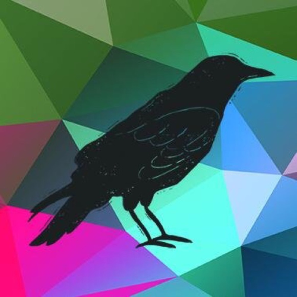 Meet your Posher, The Clever Crow